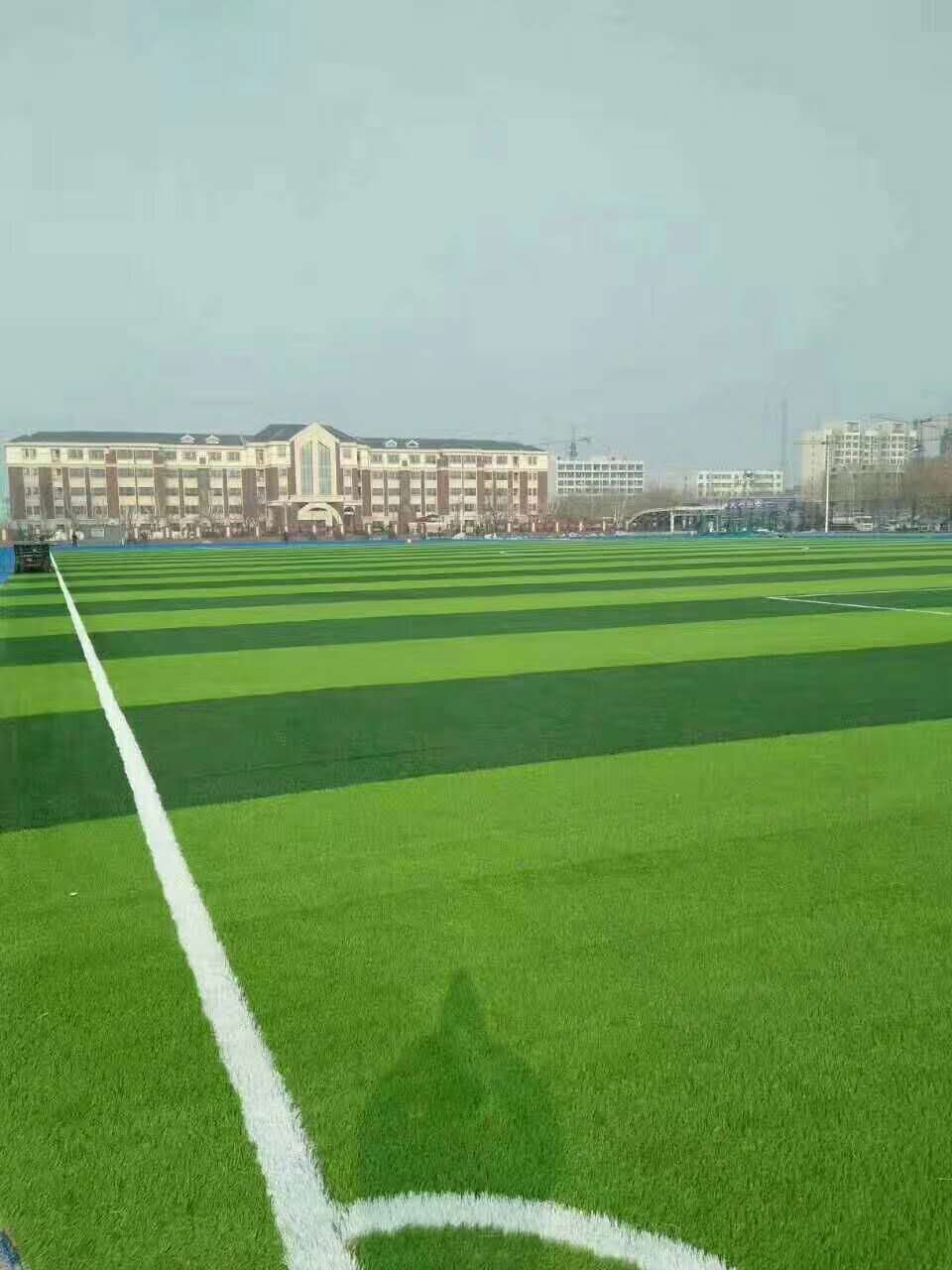 天水市新国标塑胶跑道仿真草坪 - 排名